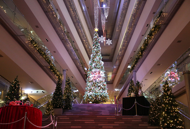 圧巻のイルミネーションにおしゃれマーケットが出現 クリスマスは表参道ヒルズにgo Numero Tokyo