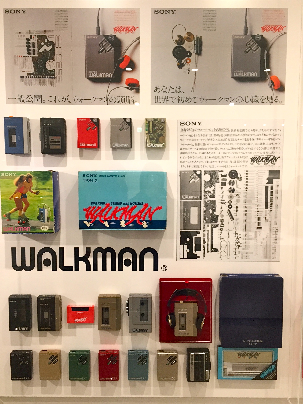 廃版★昭和レトロ★1988年★WALKMAN ソニー ウォークマン 猿 カタログ 廃版☆昭和レトロ☆1988年☆WALKMAN ソニー ウォークマン 猿