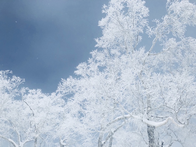 スキーもスノボもしません 北海道トマムへ滑らない雪山ステイ Numero Tokyo