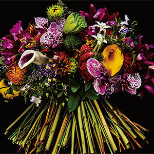 Flower-1ec.jpg