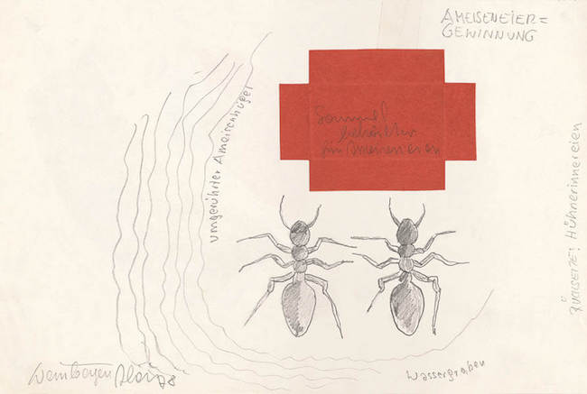 ロイス・ワインバーガー『堀とマッチ箱の助けを借りて蟻の卵を手に入れる』(1978年)