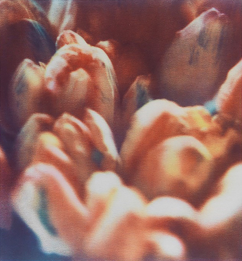 作家名：Cy Twombly 作品名：『Tulips II A』 dry-ink photographs Paper size: 44.8 x 34.9 cm Image size: 29.9 x 27.8 cm Signed on recto lower right © Fondazione Nicola Del Roscio 出展者：ART OFFICE OZASA