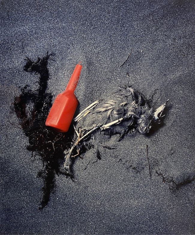 東松照明　『Plastics, Kujukuri Beach, Chiba』　（1987-89年）　Courtesy of MISA SHIN GALLERY