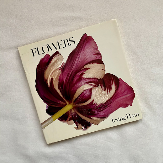 販促販売 絶版 FLOWERS Irving Penn 写真集 初版 Vogue 洋書 通常 1本