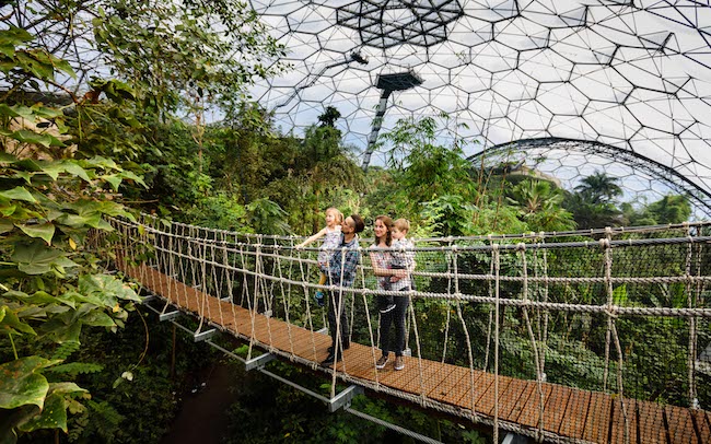 Photo：the Eden project