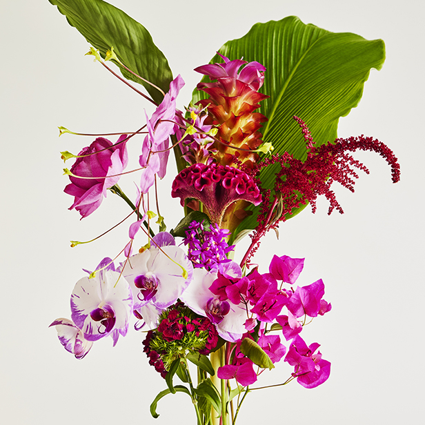 flower152_EC.jpg