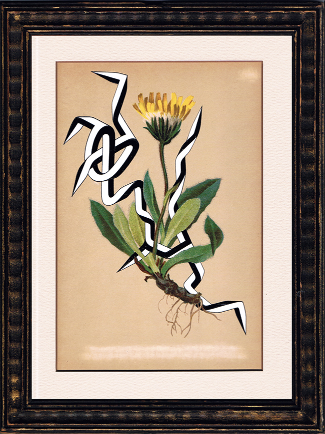 Enrico Isamu Oyama, FFIGURATI #342, 2021, Acrylic paint on framed image, (H) 11 x (W) 7.5 inches, Courtesy Jane Lombard Gallery