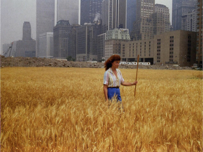 出展プロジェクト例 Agnes Denes in Wheatfield – A Confrontation Agnes Denes | アメリカ、ニューヨーク | 1982  Copyright Agnes Denes, Courtesy Leslie Tonkonow Artworks+ Projects, New York Photograph: John McGrail