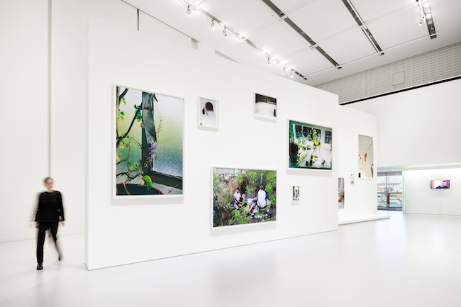 WOLFGANG TILLMANS - MOMENTS OF LIFE　エスパス ルイ･ヴィトン東京での展示風景（2023年）　Exhibition view at Espace Louis Vuitton Tokyo (2023)　Courtesy of Fondation Louis Vuitton ©Wolfgang Tillmans　Photo credits: © Jérémie Souteyrat / Louis Vuitton