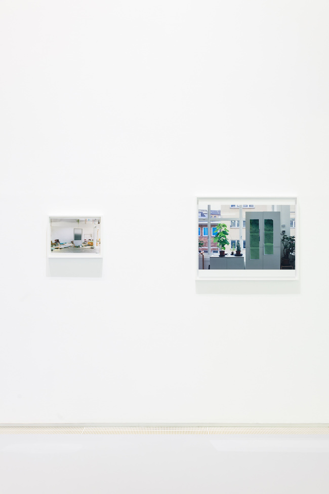 WOLFGANG TILLMANS - MOMENTS OF LIFE　エスパス ルイ･ヴィトン東京での展示風景 （2023年）Exhibition view at Espace Louis Vuitton Tokyo (2023) FONDATION  LOUIS VUITTON, PARIS ©Wolfgang Tillmans　Photo credits: © Jérémie Souteyrat / Louis Vuitton