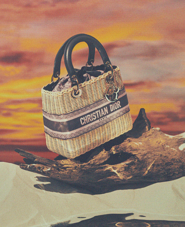 「レディ ディオール」ハンドバッグ（W24×H20×D11cm） ¥820,000／Dior（クリスチャン ディオール）