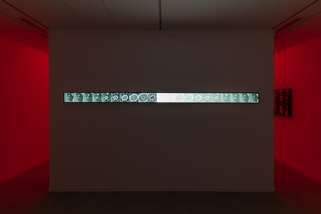 Installation view of “The End3” (2023) by Alfredo Jaar at SCAI PIRAMIDE, Tokyo. Photo by Nobutada Omote. Courtesy the artist and SCAI THE BATHHOUSE.