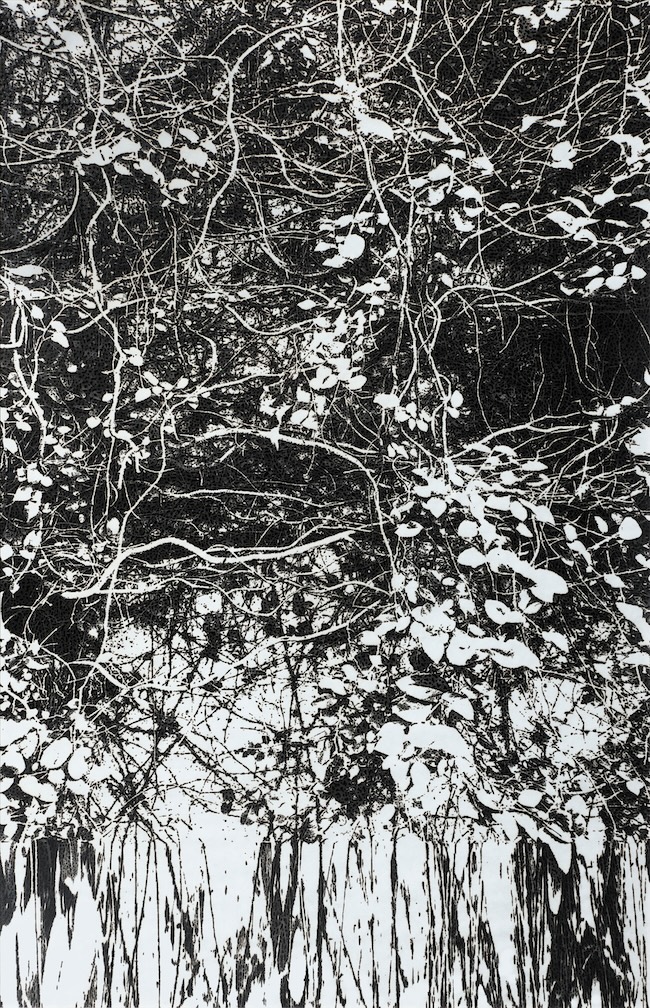 Untitled (woodland). 2023. Burnt paper. 170 × 110 cm. Photo by 木奥恵三. ©2024 Kosuke Ichikawa/Soni. & Co. All Rights Reserved.