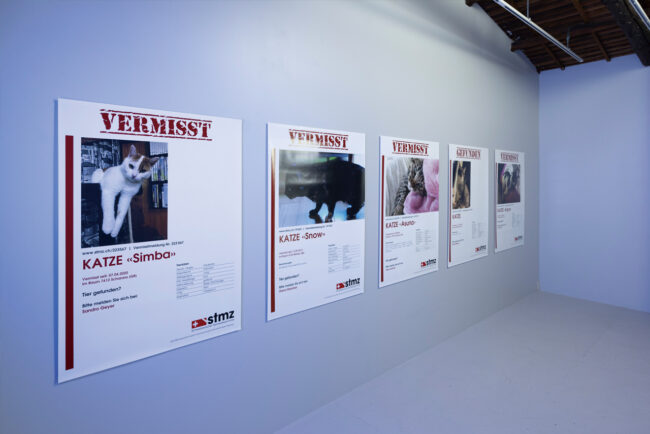 アートコレクター黒木健一のコレクション展「苦いみらい」（2023年12月22日〜24年1月20日）より、2階ギャラリーの展示風景（泉太郎の作品）。