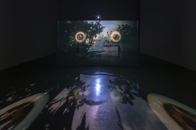 Installation view of “Solarium” (2024) by Apichatpong Weerasethakul at SCAI THE BATHHOUSE, Tokyo. Photo by Nobutada Omote. Courtesy the artist and SCAI THE BATHHOUSE.