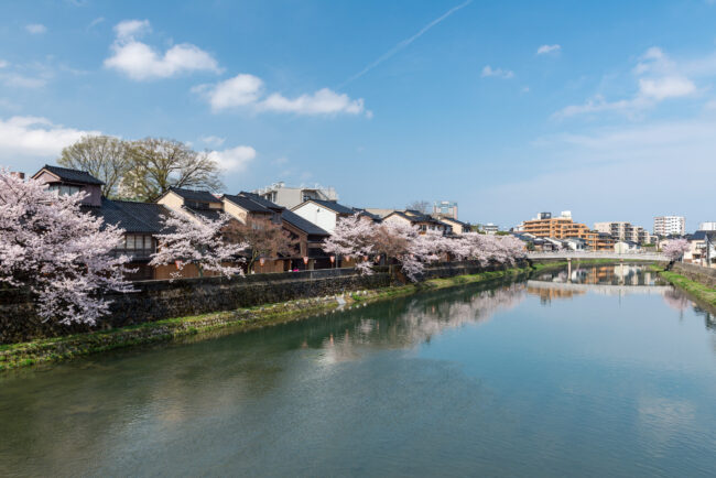 桜の時期も美しい金沢。©︎Kanazawa City