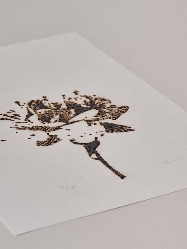 Untitled(flower)#1,2,3/collotype print/details　©2024 Kosuke Ichikawa/Soni.&Co. All Rights Reserved.