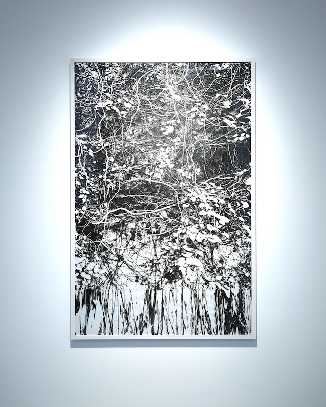 untitled(woodland)/2023/Burnt paper/170x110mm ©2024 Kosuke Ichikawa/Soni .&Co. All Rights Reserved.