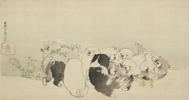 長沢芦雪　『菊花子犬図』18世紀(江戸時代)　絹本・彩色　個人蔵
