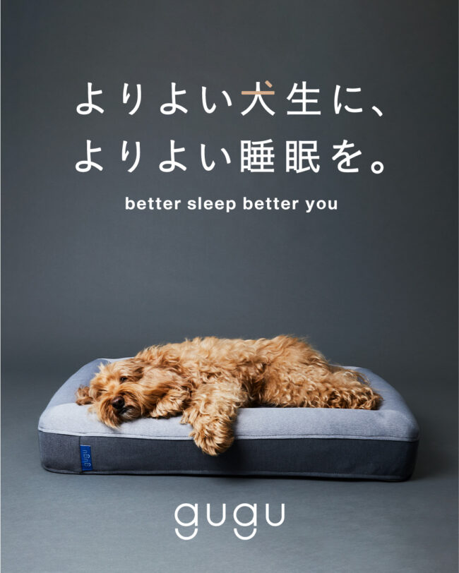 gugu doggy モデル犬くん