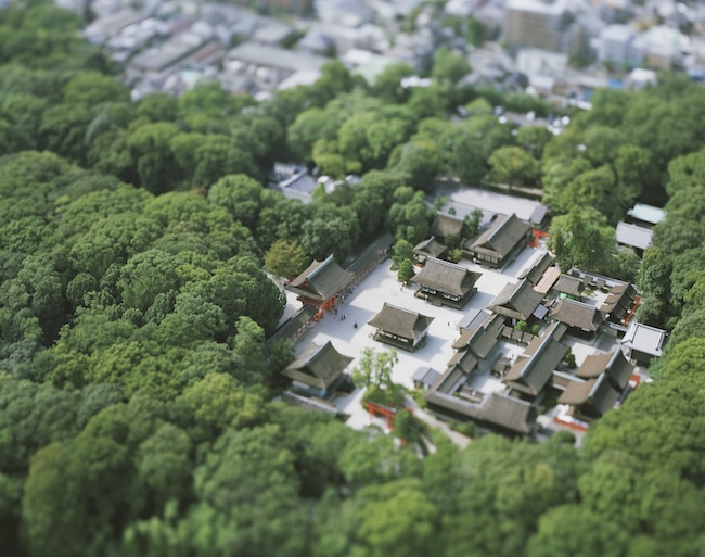 『Shimogamo-jinja, Kyoto』　（2007年）　© Naoki Honjo