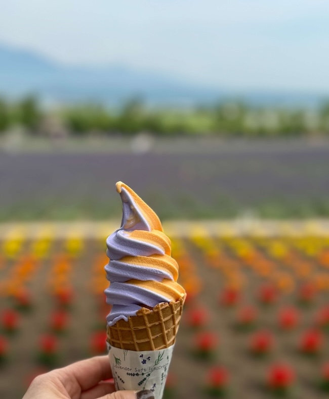 旅先と道の駅では、ご当地ソフトクリームを食べることにしてますが、ファーム富田では、ラベンダーとメロンのミックスをチョイス。