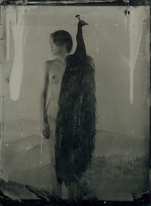 『AM#38』ambrotypes ©YAMAMOTO Masao Courtesy of Mizuma Art Gallery