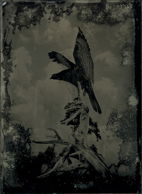 『AM#80』ambrotypes ©YAMAMOTO Masao Courtesy of Mizuma Art Gallery