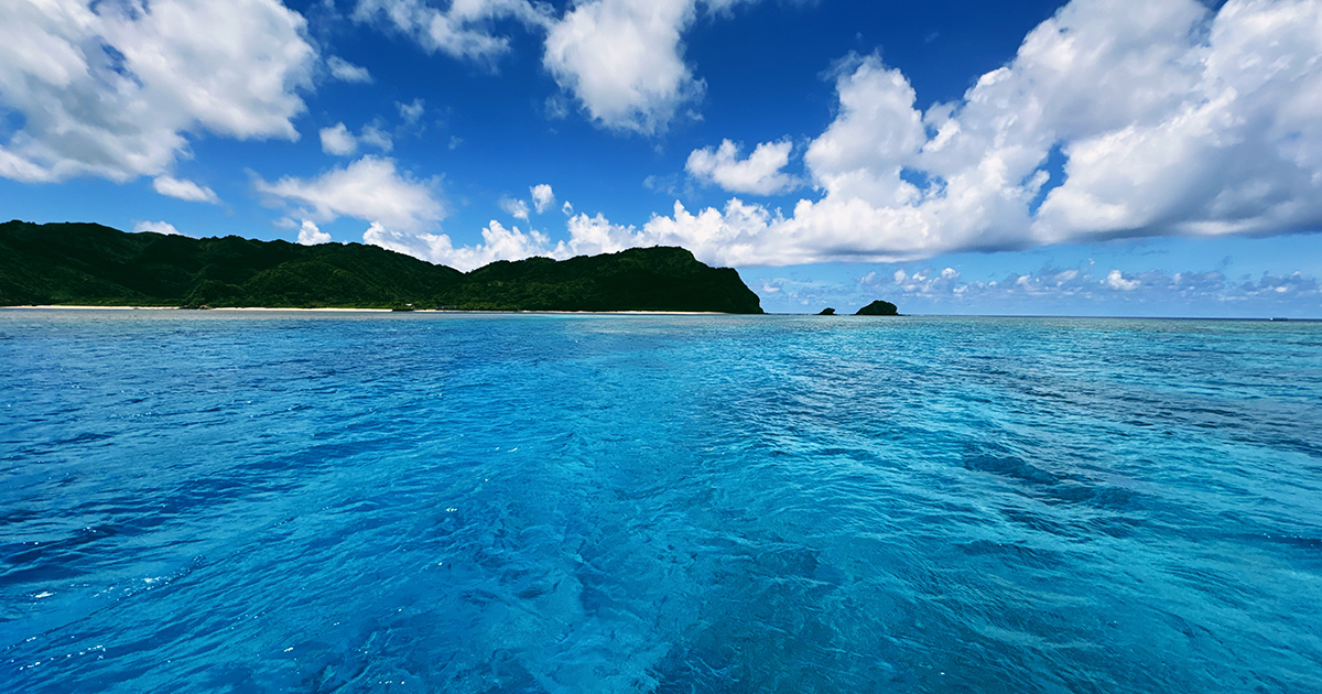 iriomote_sns.jpg