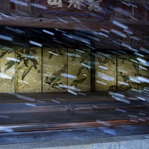 美大卒 絵画 162×127cm 大きいサイズ 81vzMjjTCWL._AC_UL210_SR210,