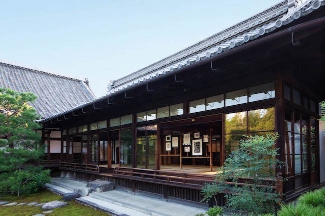 Installation view, Elizabeth Peyton: daystar hakuro, Ryosokuin Temple, Kyoto, Japan, Sep-tember 8—24, 2024 Photos by Takeru Koroda Courtesy David Zwirner