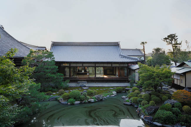 Installation view, Elizabeth Peyton: daystar hakuro, Ryosokuin Temple, Kyoto, Japan, Sep-tember 8—24, 2024 Photos by Takeru Koroda Courtesy David Zwirner