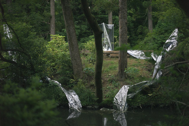 立石従寛『Abiotope』2019 © JukanTateisi