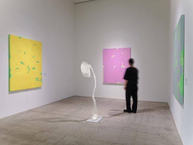 「エルヴィン・ヴルム　人のかたち」展示風景 2025年 撮影：河野幸人