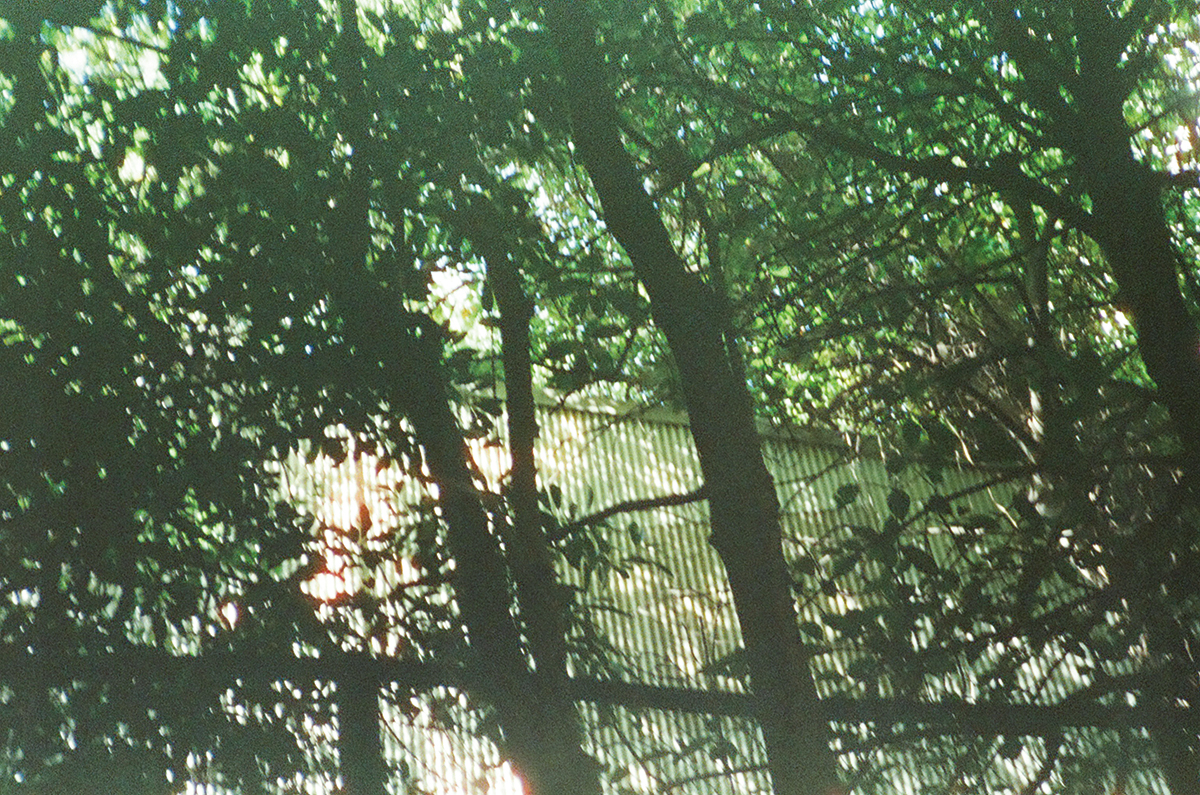 光や風が感じられる風合いは、フィルムならでは。