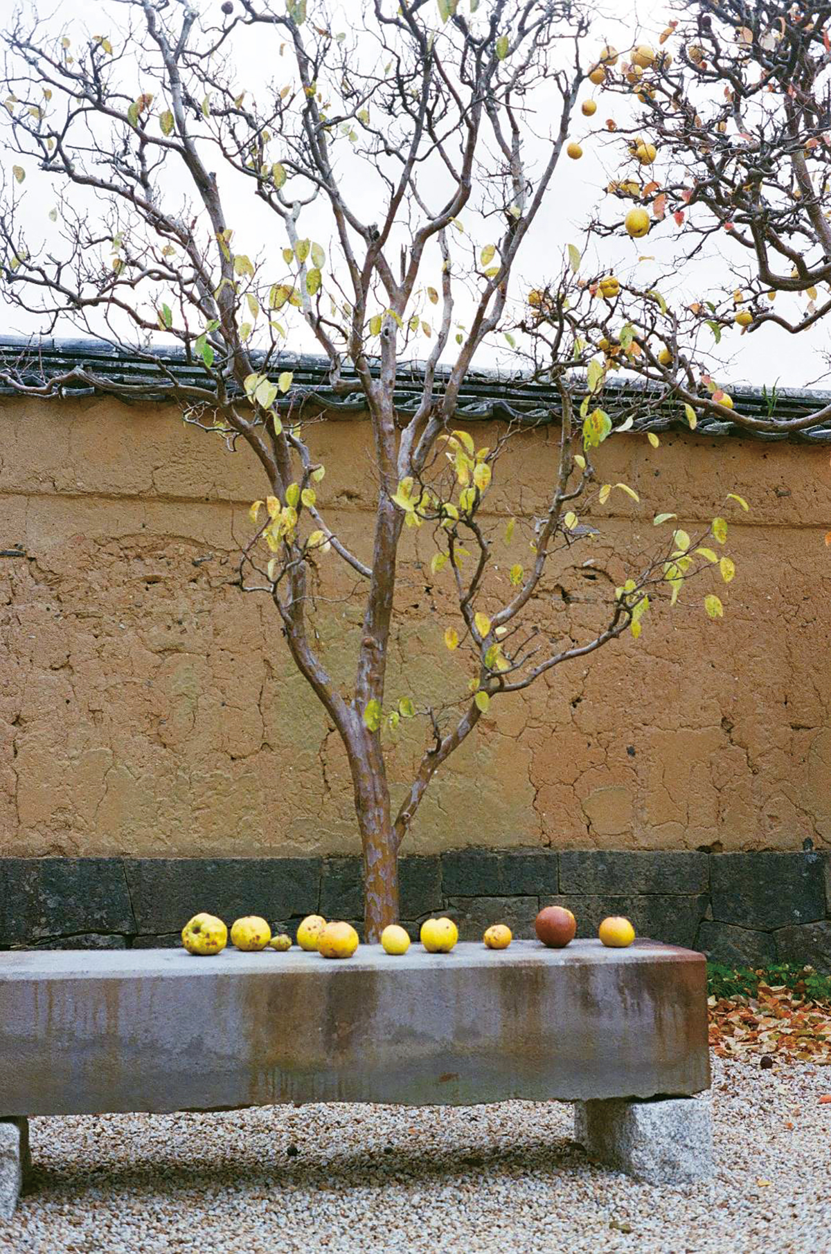 山口・萩の松陰神社で。