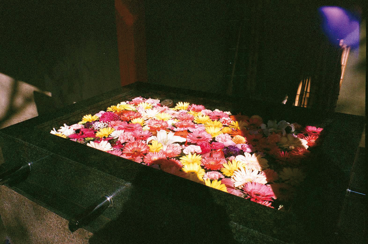 年始に福岡の神社を訪れた際に撮影した花手水。映り込んだ自身の影もお気に入り。