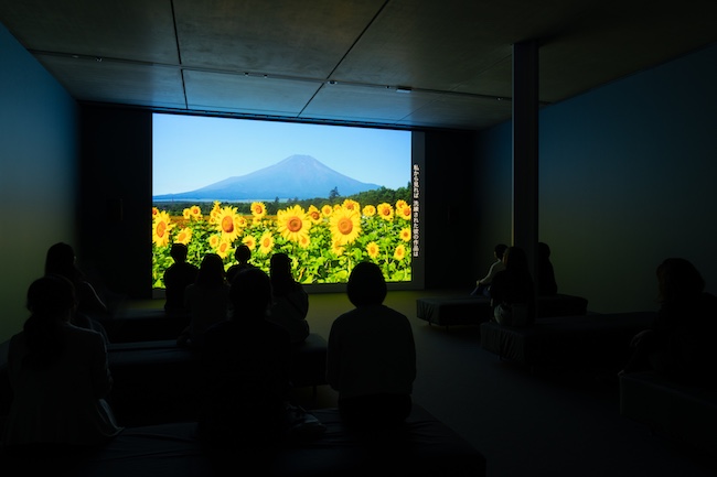 フィオナ・タン　ポーラ美術館「ゴッホ・インパクト―生成する情熱」展示風景 Photo: Ken Kato