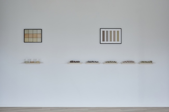 展示風景より。