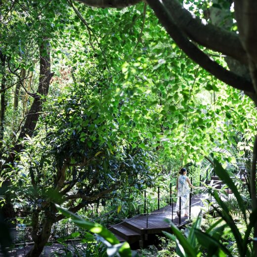 ザ・リッツ・カールトン沖縄」で出合った癒しのラグジュアリー【後編