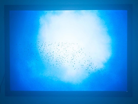 「FACE TO FACE」（後光、2024）展示風景