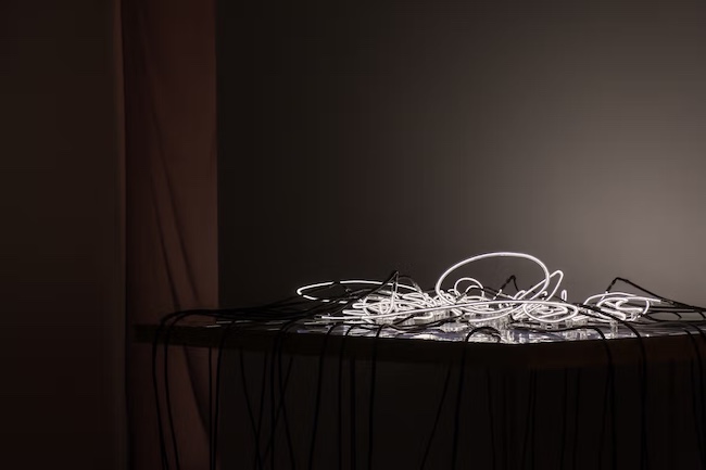 「在在 (Zaizai)」（Gallery Common、2025）展示風景　撮影：西村祐馬