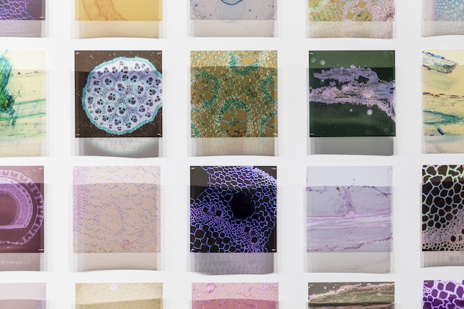 マリィ・クラーク『私を見つけましたね:目に見えないものが見える時』(部分)(2023年) 作家蔵(ヴィヴィアン・アンダーソン・ギャラリー) Installation view of Between Waves, Australian Centre for Contemporary Art, Melbourne. Photo; courtesy Andrew Curtis © Maree Clarke