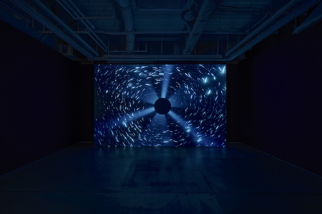 View of the exhibition “Midnight Zone" at Perrotin Tokyo. Photo by Osamu Sakamoto. Courtesy of the artist and Perrotin.