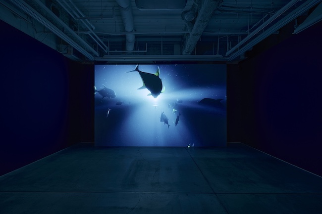 View of the exhibition “Midnight Zone" at Perrotin Tokyo. Photo by Osamu Sakamoto. Courtesy of the artist and Perrotin.