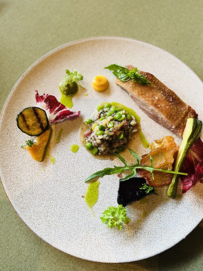 野菜がふんだんに使われたリゾットが添えられた鴨のコンフィ。※メニューは季節により変わります