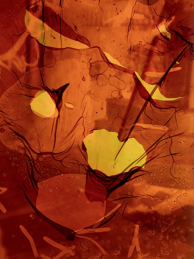 Stephen Gill　『Best Before End』　（2013年）