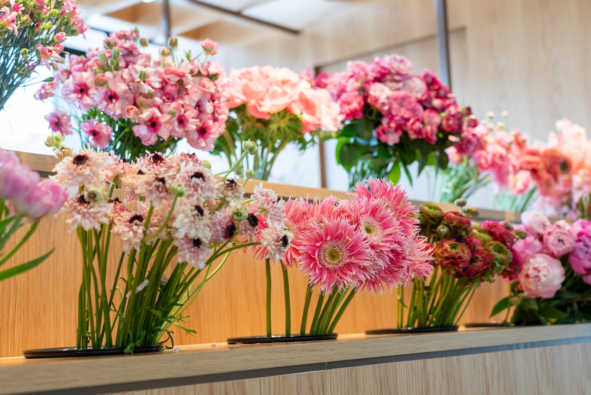 ニコライ バーグマン ニュウマン高輪店