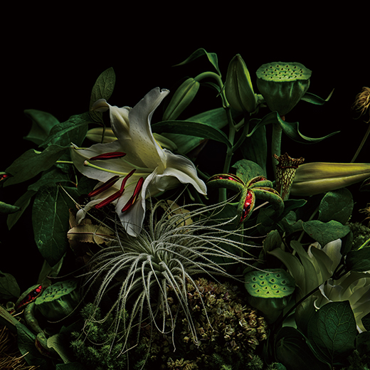 東信「今月のフラワーアート」深遠なる記憶の実り | Numero TOKYO