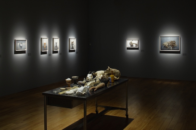 WHAT MUSEUM展示風景「諏訪敦｜きみはうつくしい」Photo by Keizo KIOKU